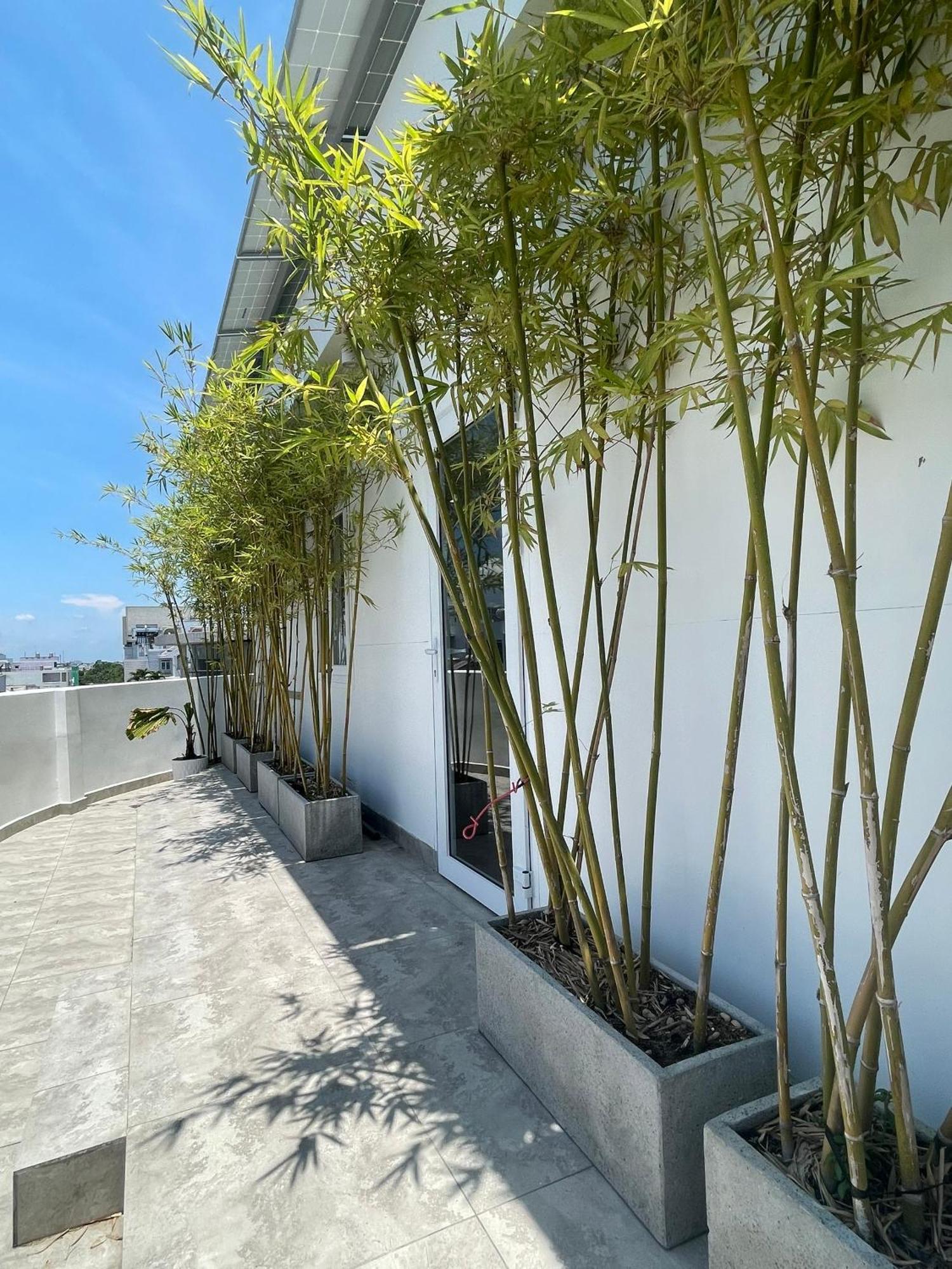 The Ck Hotel Chau Doc Bagian luar foto